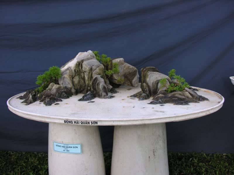 Bonsai anh Lansdcaping in Viet Nam Spring Flower Festival Show IBCm31