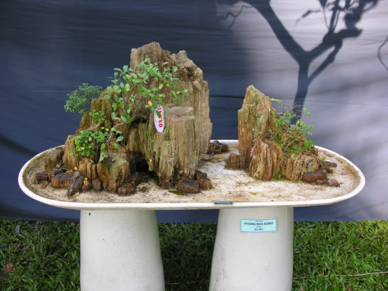 Bonsai anh Lansdcaping in Viet Nam Spring Flower Festival Show IBCm40