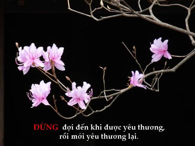 Đừng. . . . . . .  03