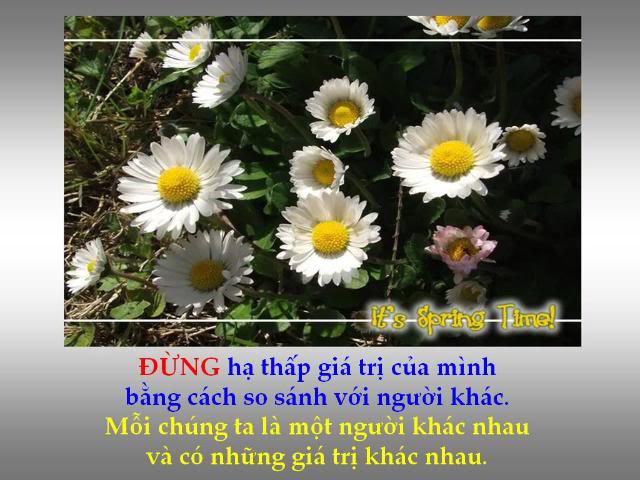 Đừng. . . . . . .  08