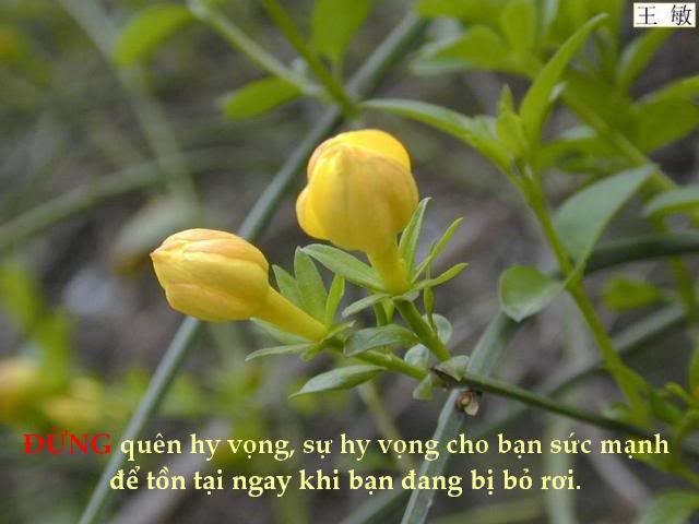 Đừng. . . . . . .  14