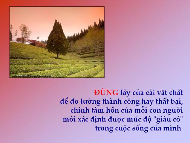 Đừng. . . . . . .  16