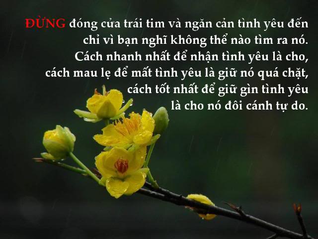 Đừng. . . . . . .  24