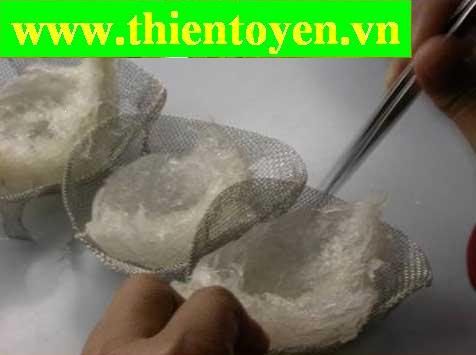 Doanh Nghiệp Tư Nhân Thiên Tổ Yến TTY01