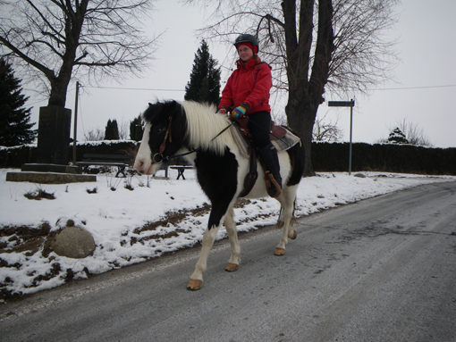 Euer Pferd.. - Seite 2 IMGP2149klein_zps15b746ab