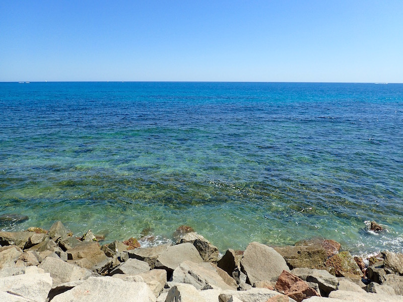 Desafío de Verano: Foto bajo el agua! - Página 2 P8071903_zpsdqbtypln