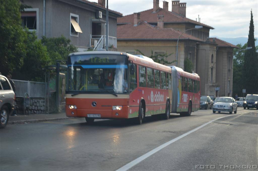 slike autobusa - Page 39 DSC_8374_zps65a6391a