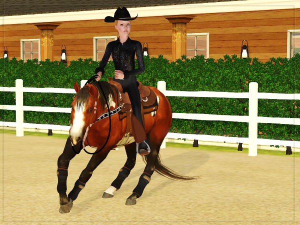 Western Performance Halter Show-- Closes 12-20 Mozart3forum_zps10f8bd45