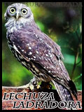 Emporio de la Lechuza E_lechuzaladradora_zpsdb7d2949