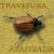 Slug & Jigger: Botica I_escarabajo_zps2d2870e0