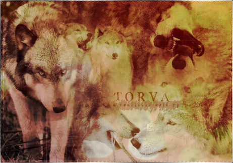 TORVA WOLF RPG Torva