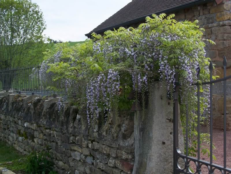 un petit tour chez moi ? RedimensionnementdePhoto075