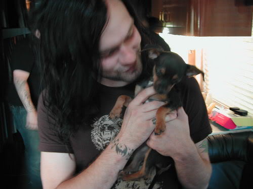 Bert McCracken Photos. Bert_and_his_Chihuahua--large-ms-1