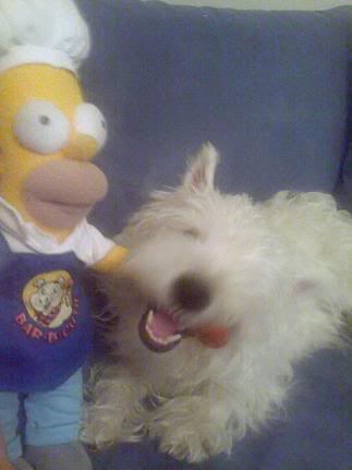 Recent funny pics of my dog & cats :D NellyHomer2B