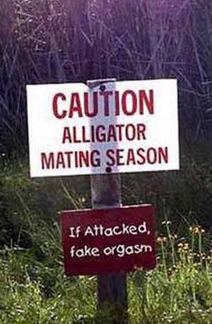 LMAO! Contests - 1st Post Of The Week WINNER IS ... Alligator