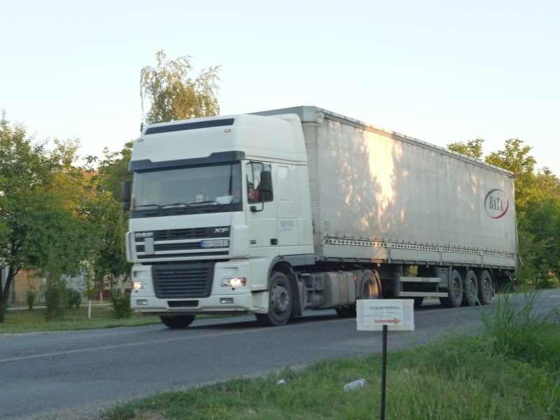 Daf XF 95           P1000215