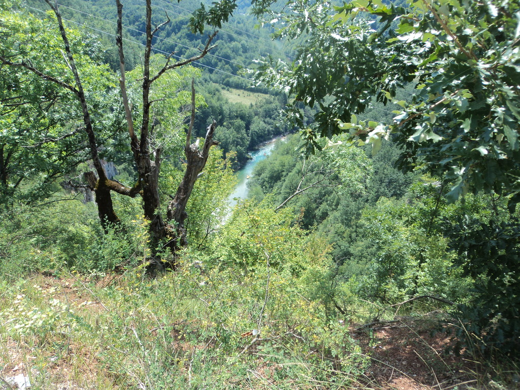 MotoAναμνηση Εξωτερικου Χωριs Mελαγχολια Νο 11 --Γιατι παιδακι μου σε λενε Μαυροβουνι?2015 DSC05594