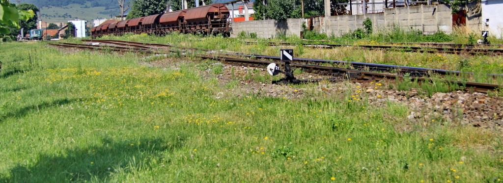 Imprejurimi de Brasov IMG_2666_zpsstyeqkay