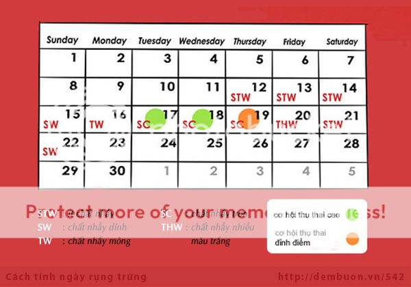 Cách canh ngày trứng rụng & cách tính ngày an toàn P-664-tinh-ngay-rung-trung-dich-nhay-tu-cung-3_zpswbwz2qqz