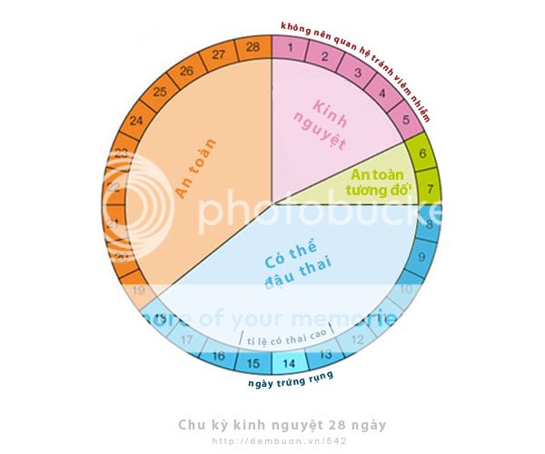 Cách canh ngày trứng rụng & cách tính ngày an toàn T-542-cach-tinh-ngay-rung-trung-2_zpsyuwkgowx