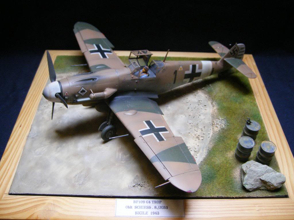 BF 109 G4 Trop' , Revell 1/32° DSCF5677_zps93e3f254