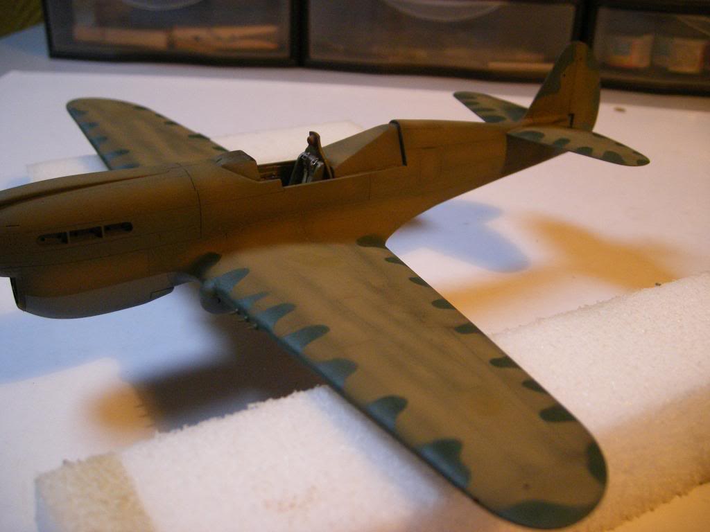 Curtiss P40N , Mauve 1/48° .... - Page 2 DSCF5787_zps5a3741fe