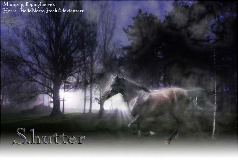 My PhotoManipulations Shutterbanner-1