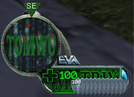 Custom Hud Tomwuhud