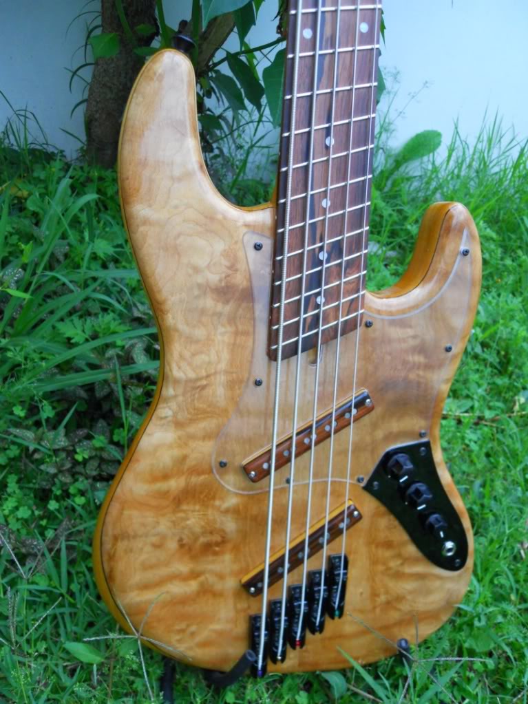 Video-review S. Martyn "Fanned" Jazz Bass 5 cordas DSCN1219