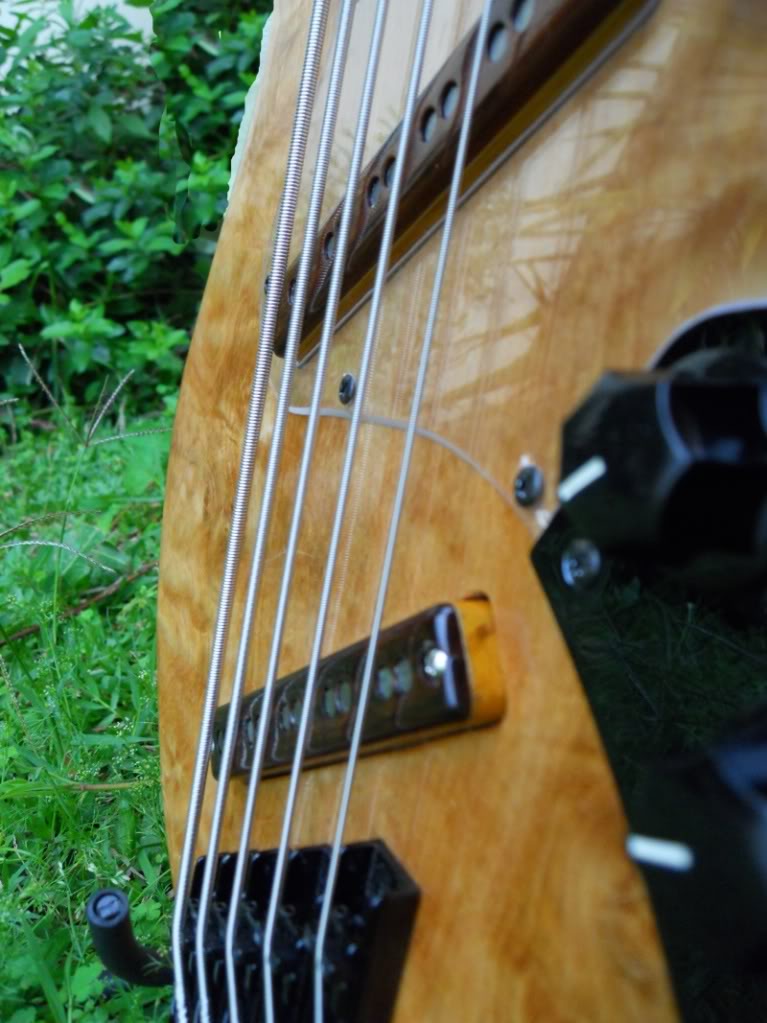 Video-review S. Martyn "Fanned" Jazz Bass 5 cordas DSCN1221