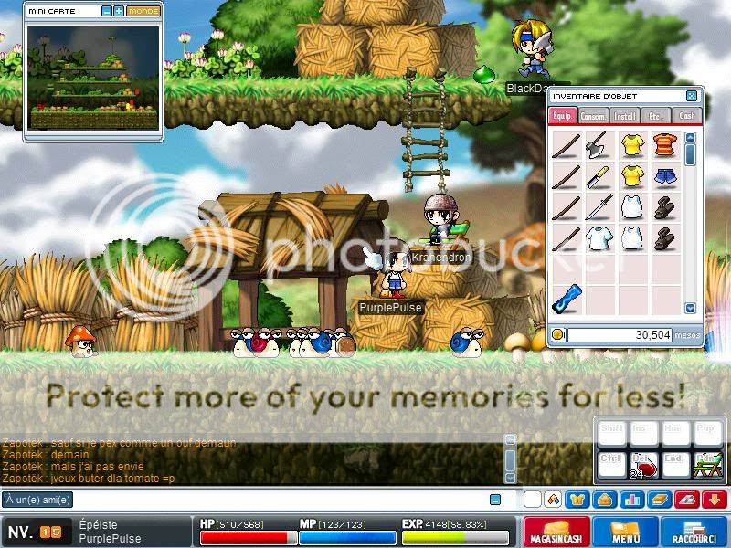 Screenshots de vos drops - Page 3 Maple0006-2