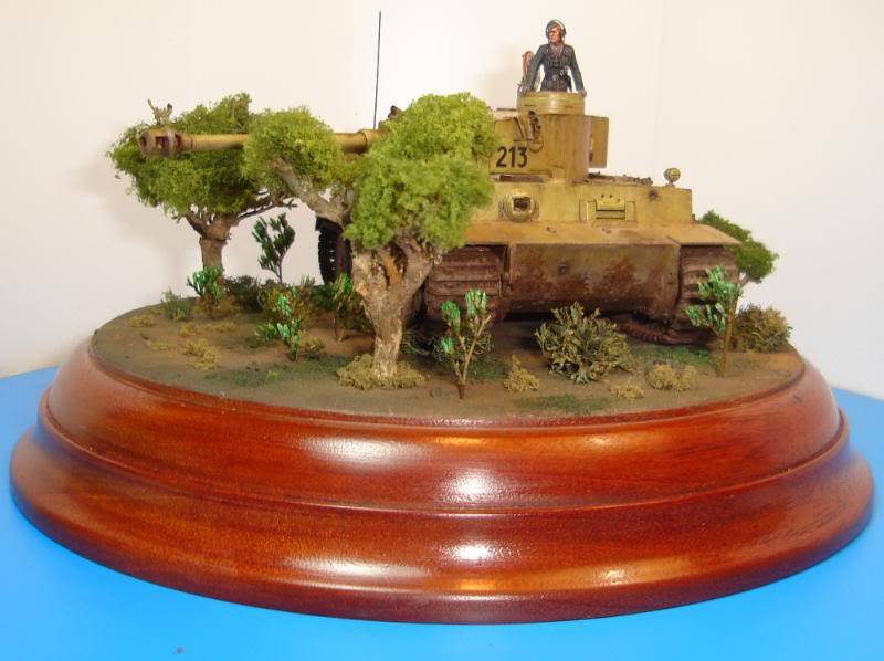 German Tiger I Early Production por Andres Mora - Página 15 DSC03497