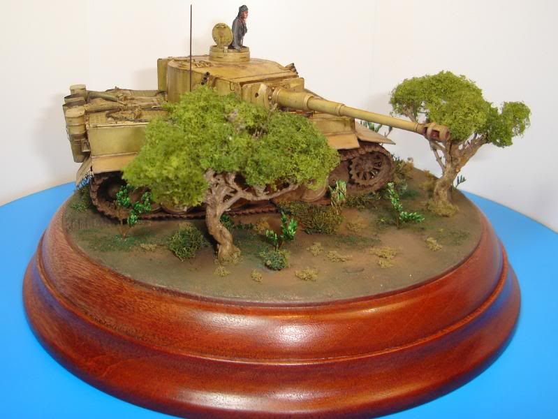 German Tiger I Early Production por Andres Mora - Página 15 DSC03502