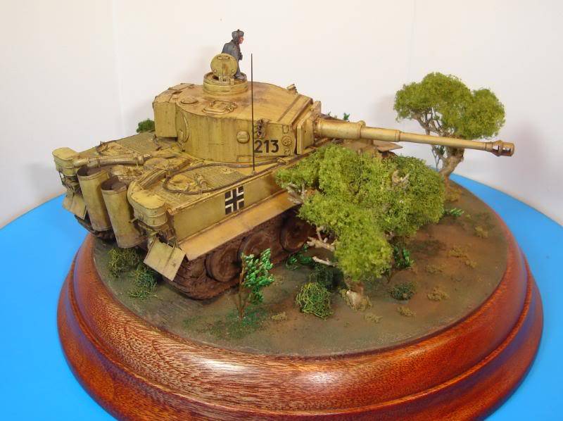 German Tiger I Early Production por Andres Mora - Página 15 DSC03507