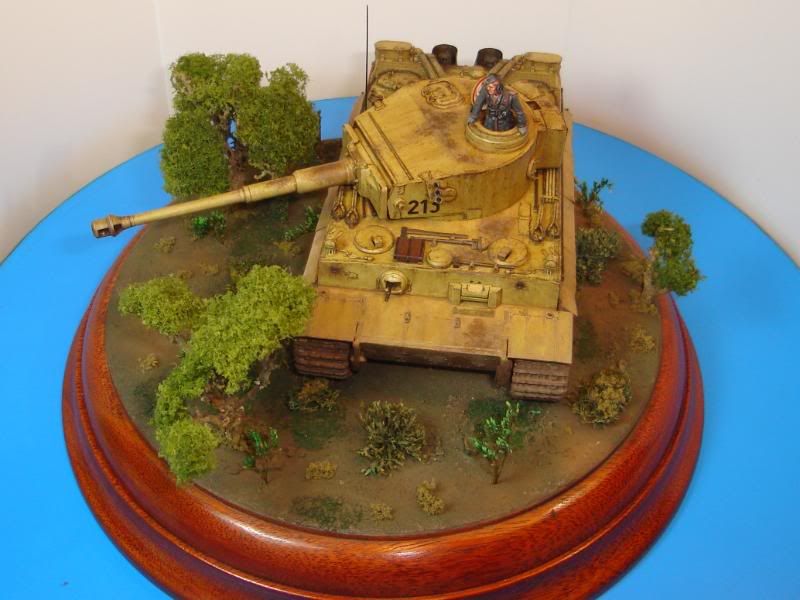 German Tiger I Early Production por Andres Mora - Página 15 DSC03510