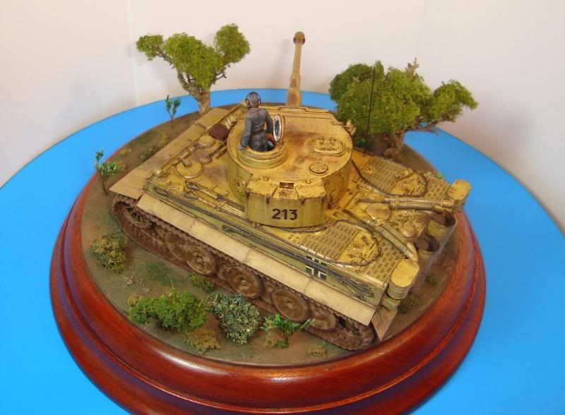 German Tiger I Early Production por Andres Mora - Página 15 DSC03512