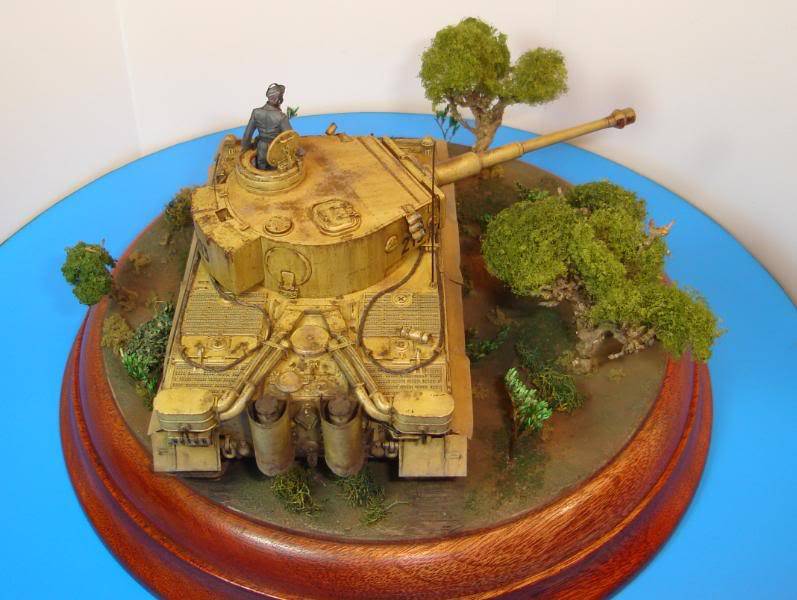 German Tiger I Early Production por Andres Mora - Página 15 DSC03513