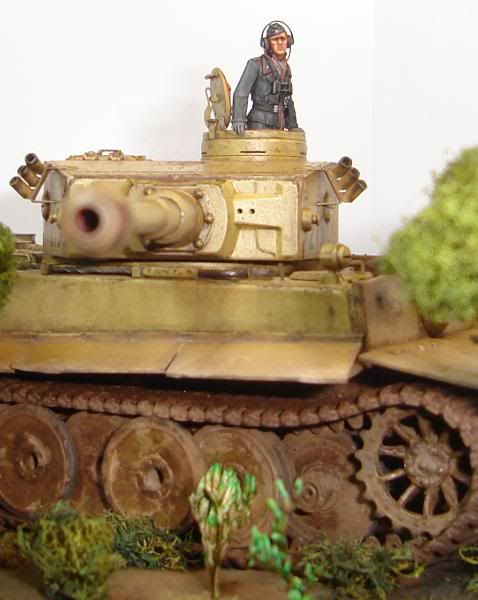 German Tiger I Early Production por Andres Mora - Página 15 DSC03542