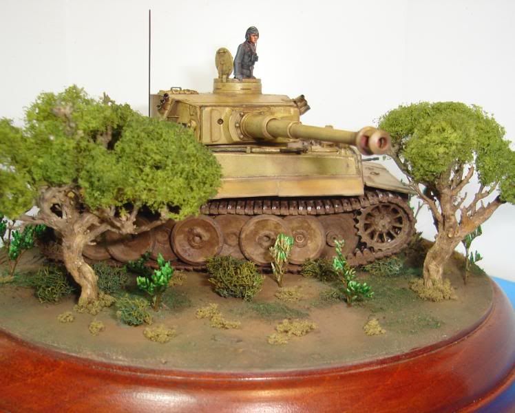 German Tiger I Early Production por Andres Mora - Página 15 DSC03555