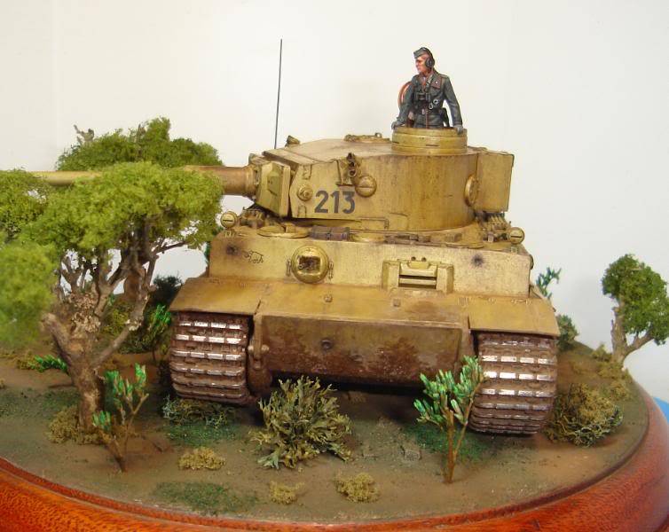 German Tiger I Early Production por Andres Mora - Página 15 DSC03556