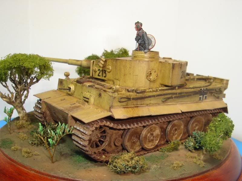 German Tiger I Early Production por Andres Mora - Página 15 DSC03557