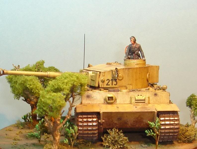 German Tiger I Early Production por Andres Mora - Página 15 DSC03570