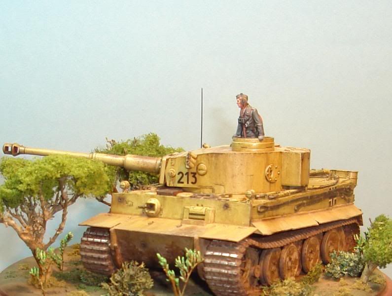 German Tiger I Early Production por Andres Mora - Página 15 DSC03572