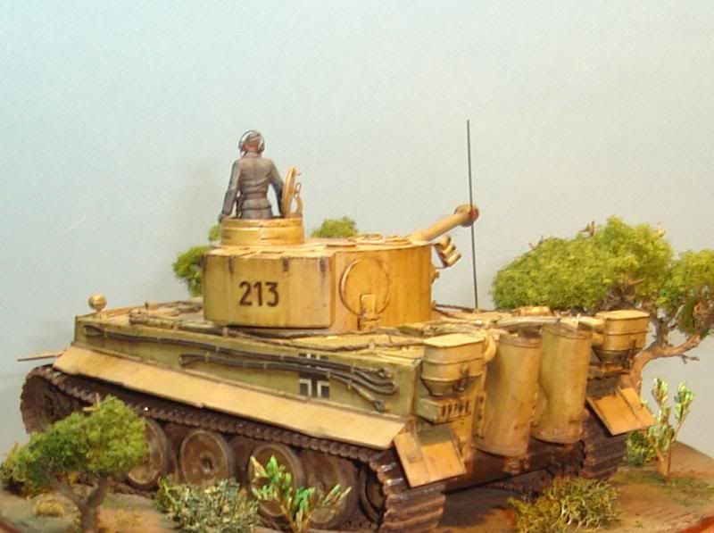 German Tiger I Early Production por Andres Mora - Página 15 DSC03578