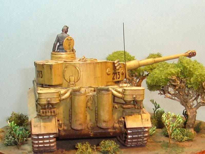 German Tiger I Early Production por Andres Mora - Página 15 DSC03580