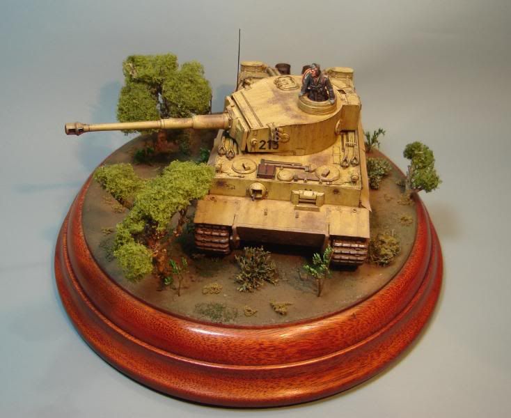 German Tiger I Early Production por Andres Mora - Página 15 DSC03664