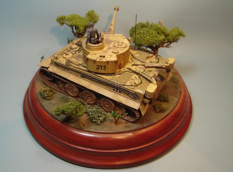 German Tiger I Early Production por Andres Mora - Página 15 DSC03669