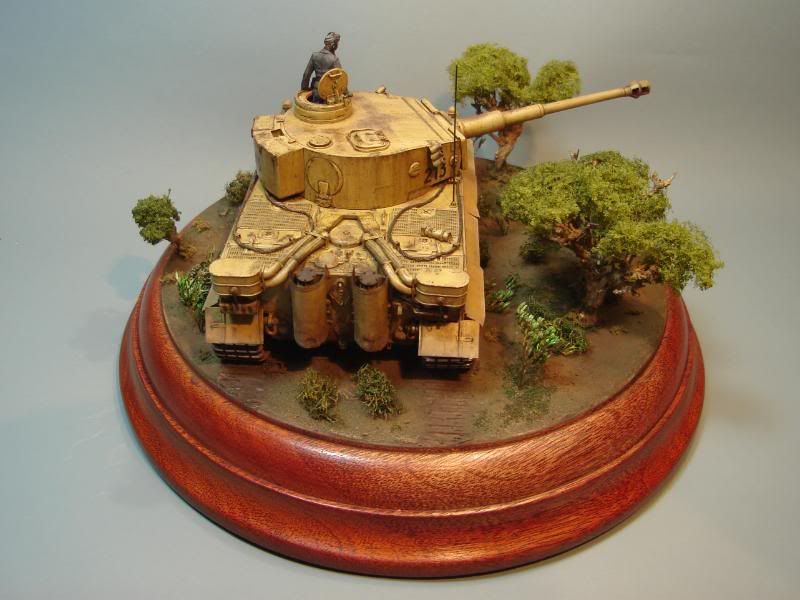 German Tiger I Early Production por Andres Mora - Página 15 DSC03671