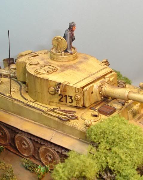 German Tiger I Early Production por Andres Mora - Página 15 DSC03702