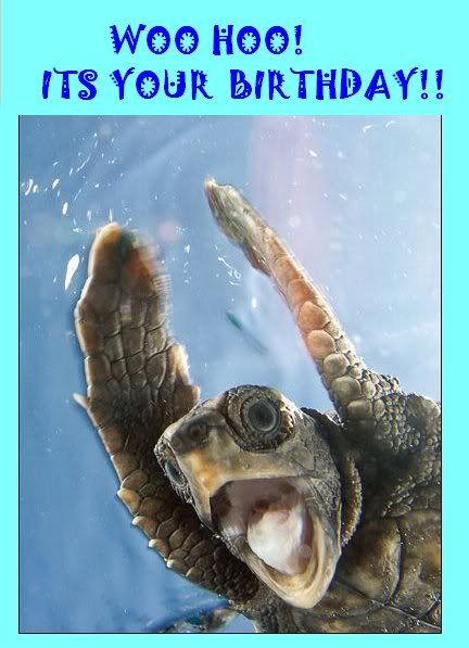 The Happy Birthday Thread - Page 3 Bdayturtle